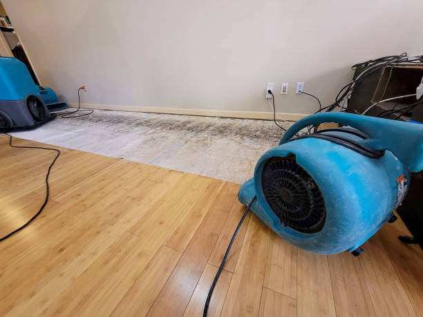 Professional Flood Damage Cleanup technician working in Alabaster, AL